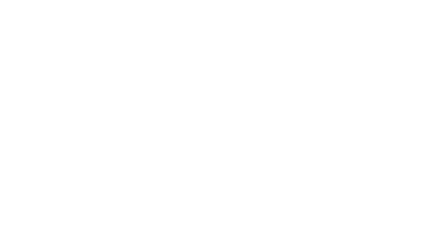 alert